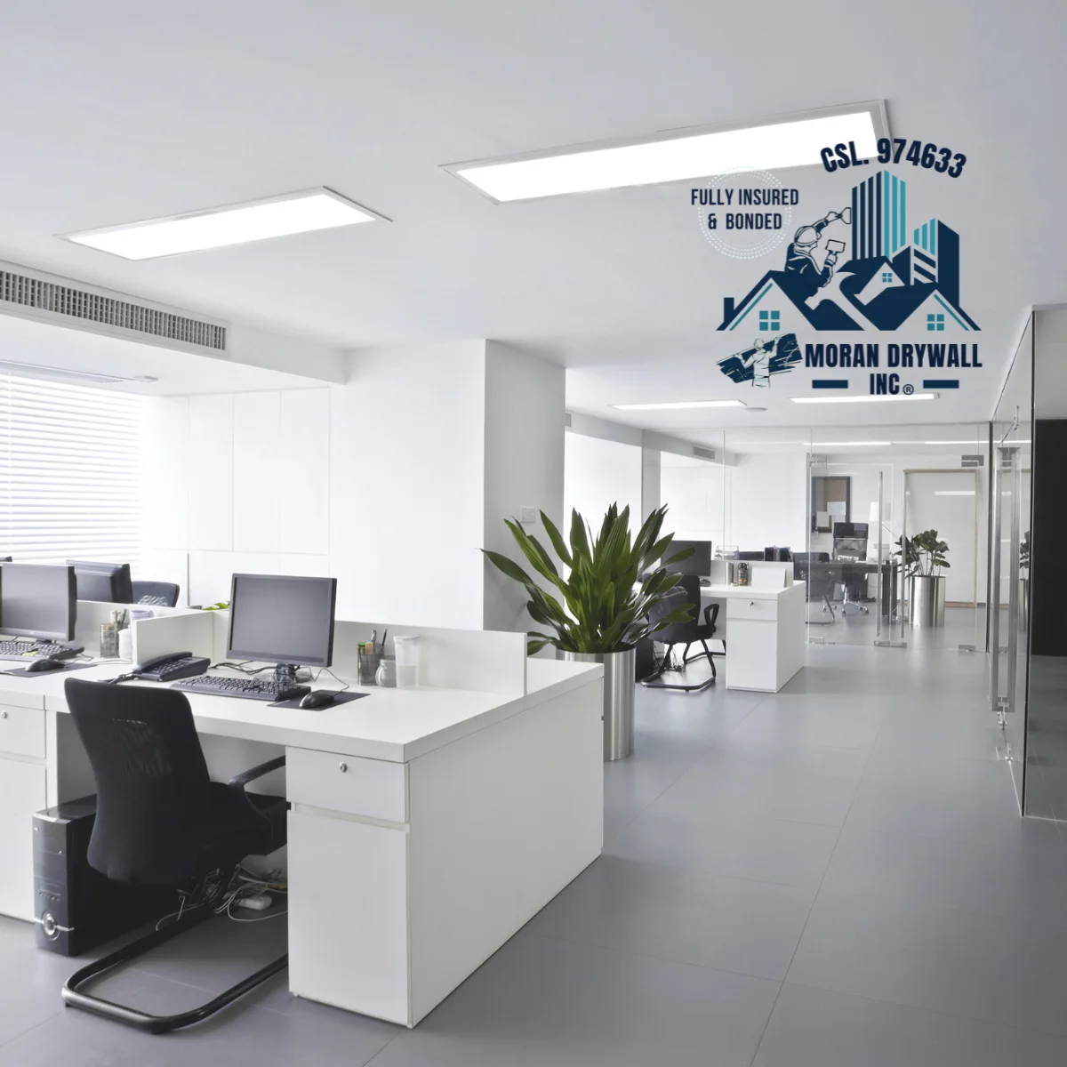 Commercial interior with coordinated ceilings and walls
